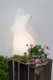8 seasons - Motivleuchte Shining Rabbit 70 cm weiß Solar