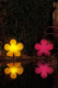8 seasons - Motivleuchte Shining Flower Durchmesser 60 cm pink Solar