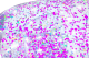 Bestway Inflate-A-Chair Luftsessel Glitter Dream 114 x 112 x 66 cm