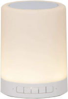STAR Trading LED-Campinglampe it. Bluetooth-Lautsprecher/MicroSD/AUX