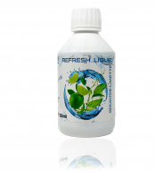 XAXX HC Refresh Liquid GRÜNTEE LIMETTE Konzentrat 1:150, 250 ml, zuckerfreier Sirup
